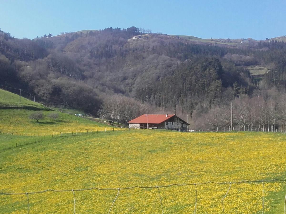 Hostel Otardi Asteasu Zewnętrze zdjęcie