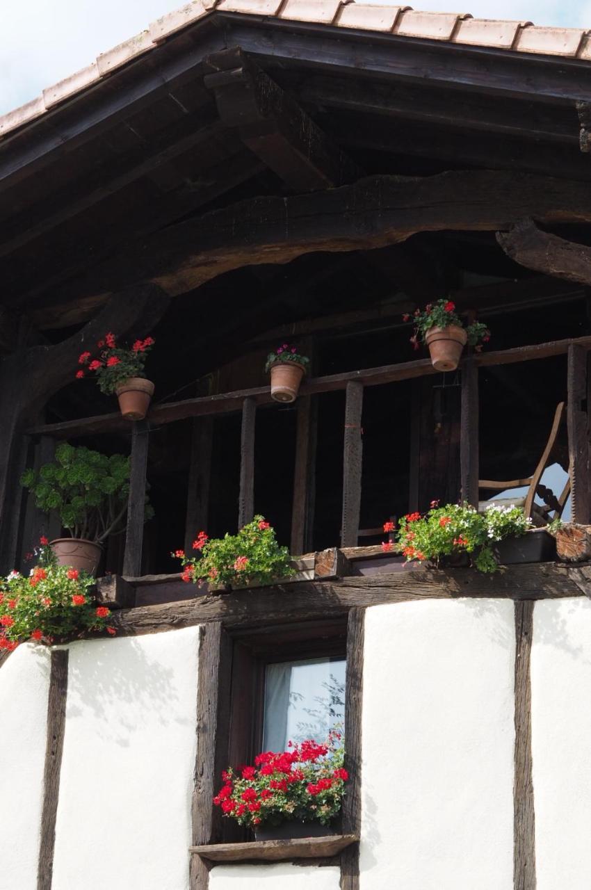 Hostel Otardi Asteasu Zewnętrze zdjęcie